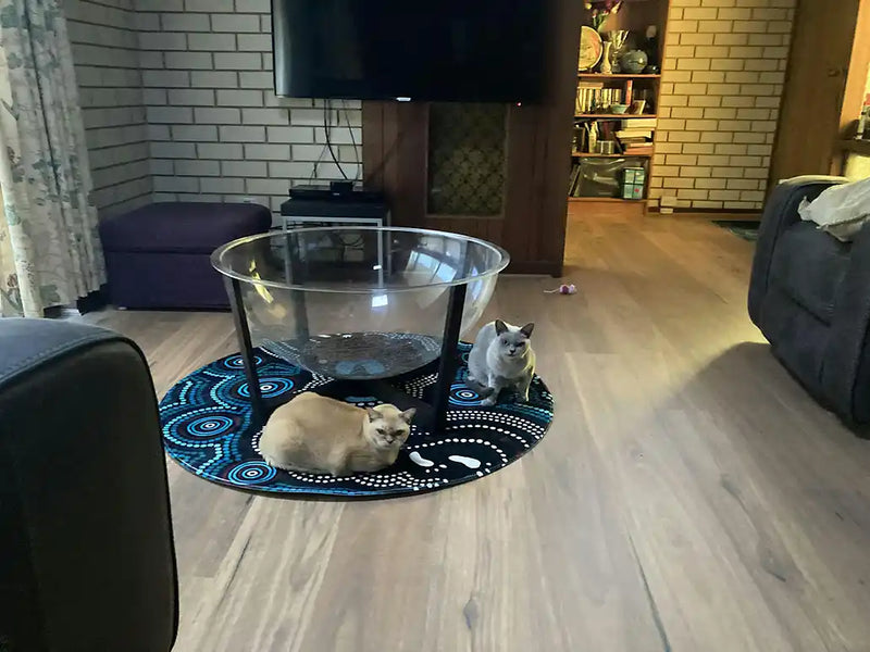 Two cats on a round rug in a living room with a TV and bookshelf in the background.