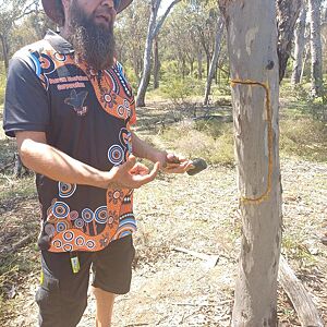 Person in traditional clothing using a tool on a tree in a forest setting