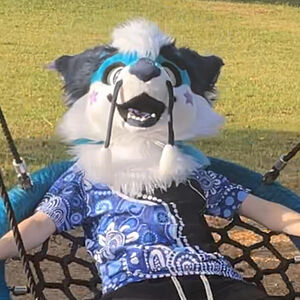 Person wearing a dog mask with blue and white patterned shirt sitting on a swing.
